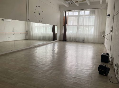 Anude - 2 танцювальних зали на Подолі • 2024 • RoomRoom 6