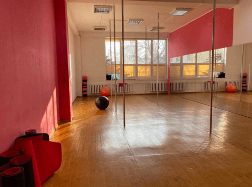 Kalipso - 3 танцювальних зали з пілонами на Чернігівській • 2024 • RoomRoom 14